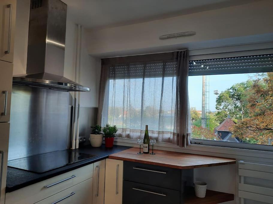 Chez Alice Apartman Colmar Kültér fotó